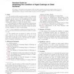 ASTM D5065-07