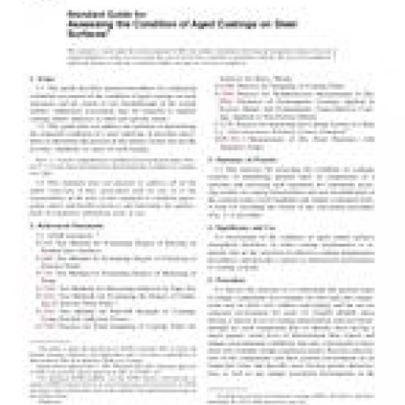 ASTM D5065-07