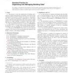 ASTM E2166-07