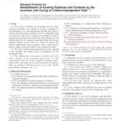 ASTM F1216-07a