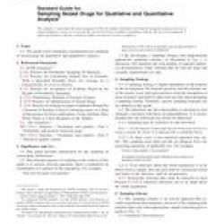 ASTM E2548-07
