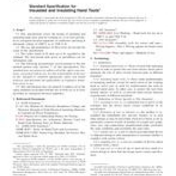 ASTM F1505-07