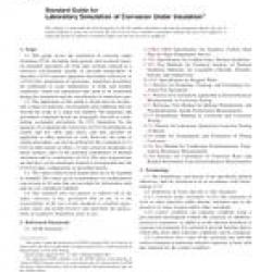 ASTM G189-07