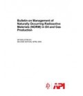 API Bull E2