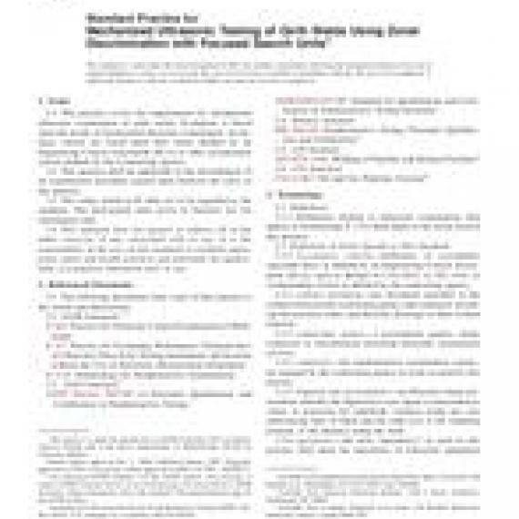ASTM E1961-06