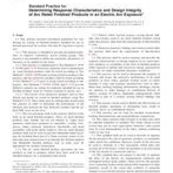 ASTM F2621-06