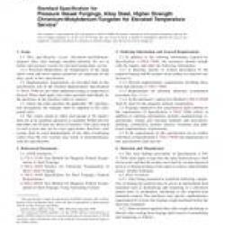 ASTM A1048/A1048M-06