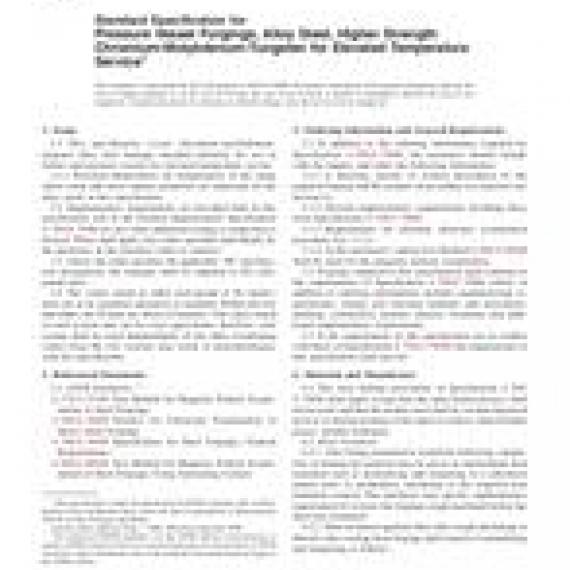 ASTM A1048/A1048M-06