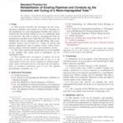 ASTM F1216-06