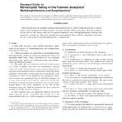 ASTM E1969-06