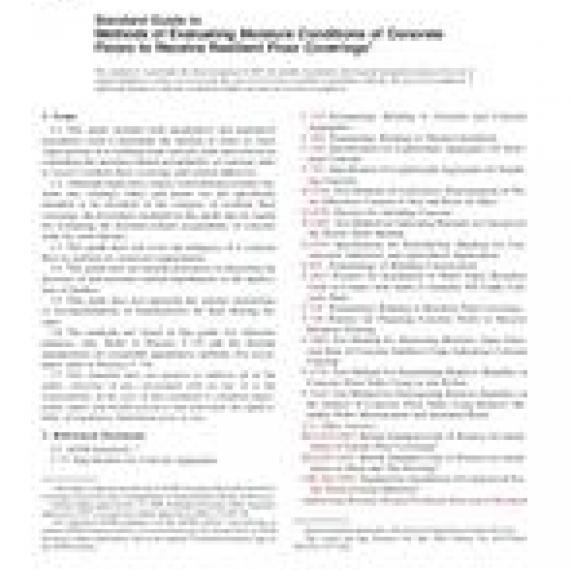 ASTM E1907-06