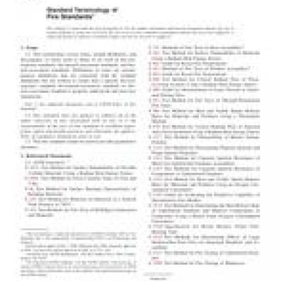 ASTM E176-06
