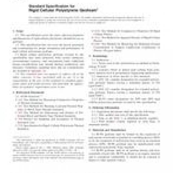 ASTM D6817-06a