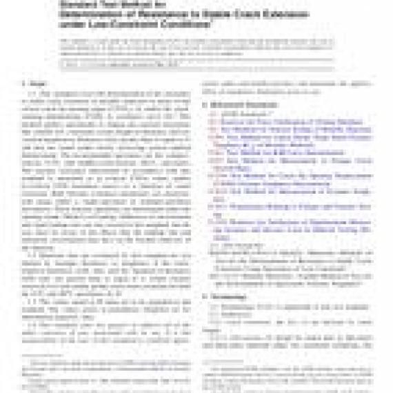 ASTM E2472-06e1