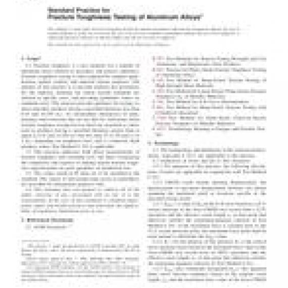 ASTM B646-06