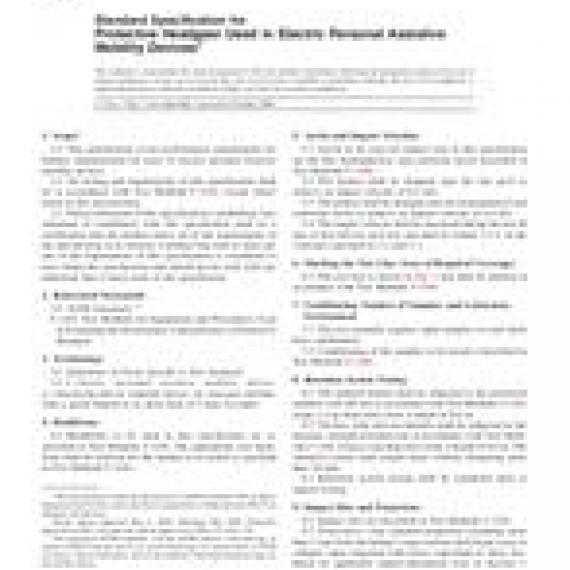 ASTM F2416-06e1