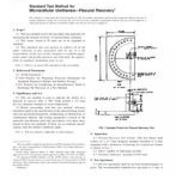 ASTM D3768-06