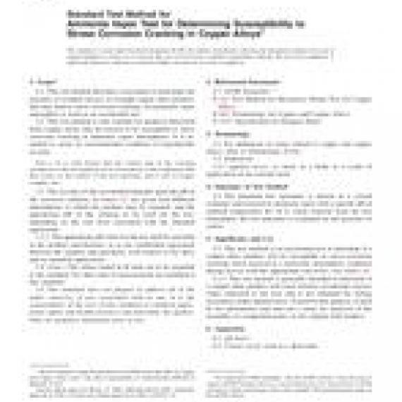 ASTM B858-06