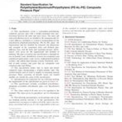 ASTM F1282-06