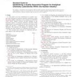 ASTM C1009-06