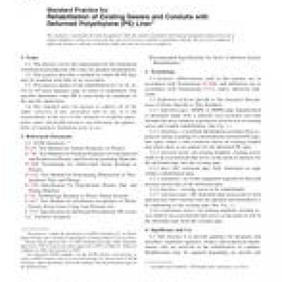 ASTM F1606-05