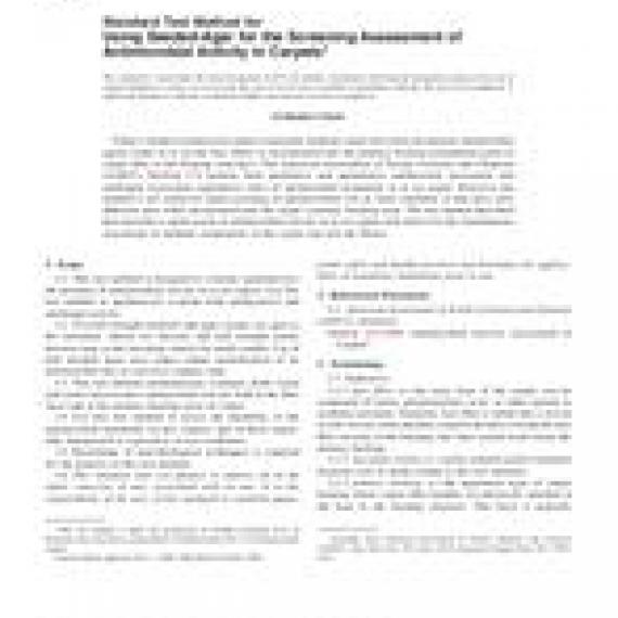 ASTM E2471-05