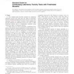 ASTM E2455-05