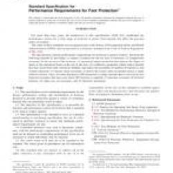 ASTM F2413-05