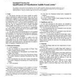 ASTM F905-04