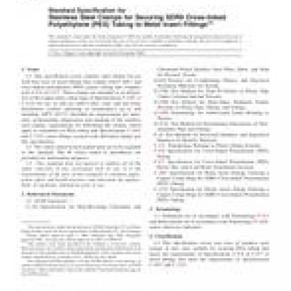 ASTM F2098-04e1