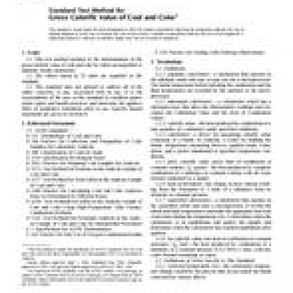 ASTM D5865-04