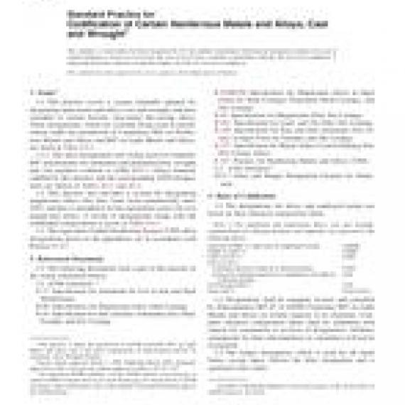 ASTM B275-04