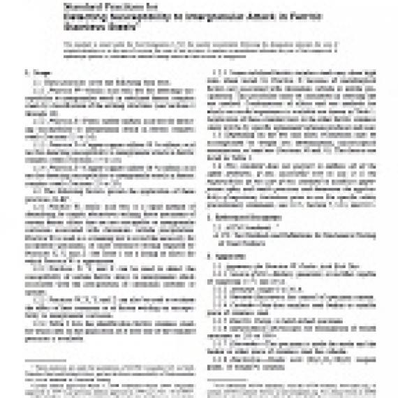 ASTM A763-93(2004)