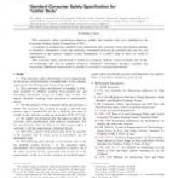 ASTM F1821-03a