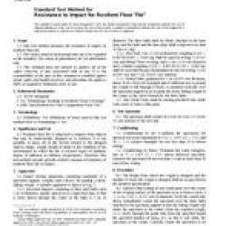 ASTM F1265-03a