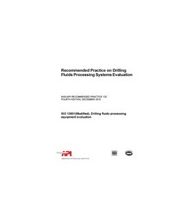 API RP 13C