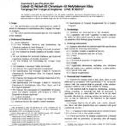 ASTM F961-03