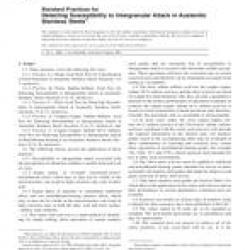 ASTM A262-02ae1