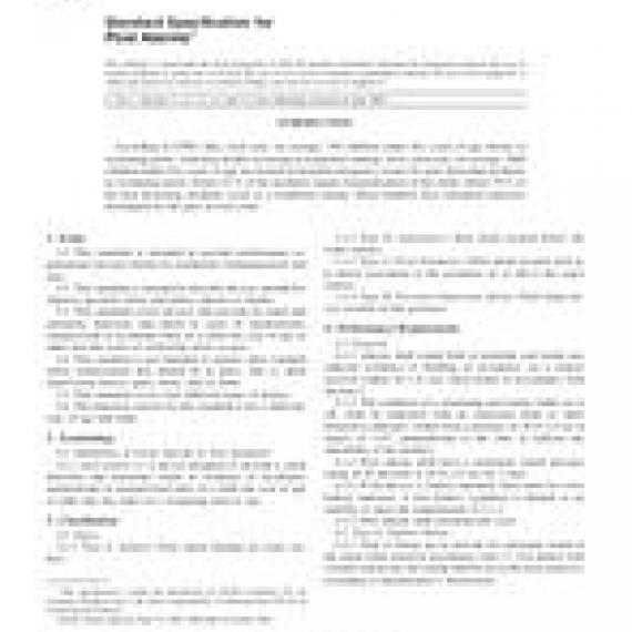 ASTM F2208-02e1