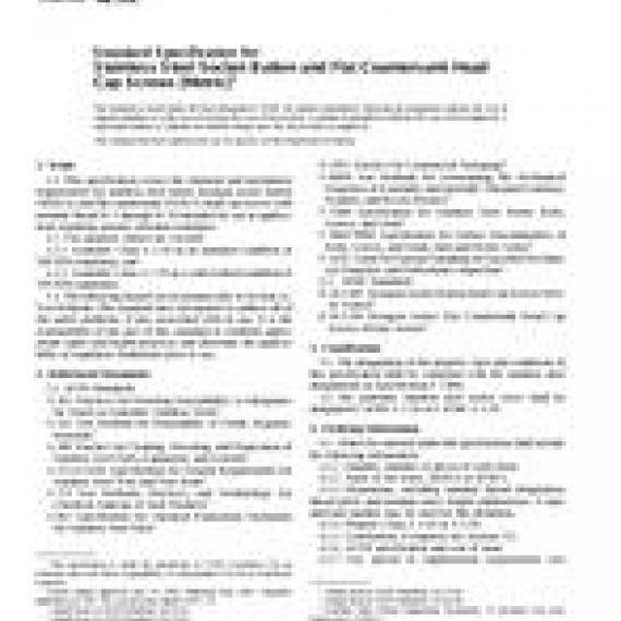 ASTM F879M-02
