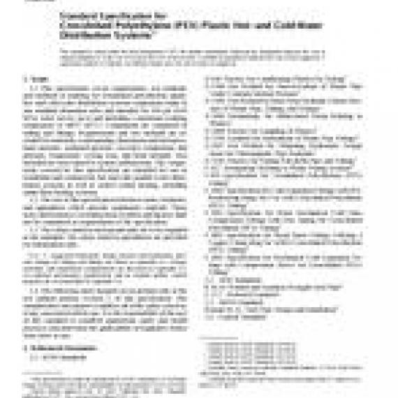 ASTM F877-02