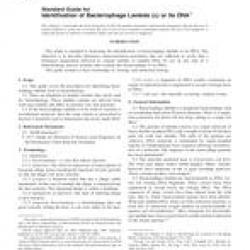 ASTM E1285-01