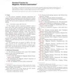 ASTM E1444-01