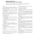 ASTM D4704-00