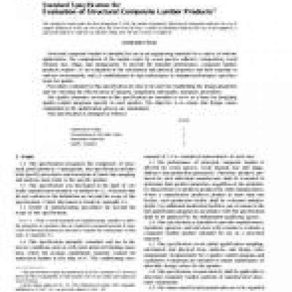 ASTM D5456-99a