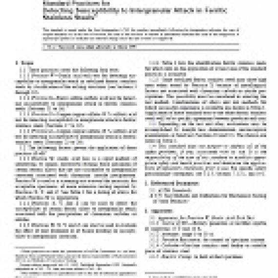 ASTM A763-93(1999)e1