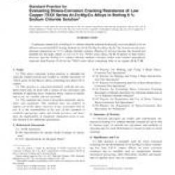 ASTM G103-97