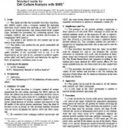 ASTM E1881-97