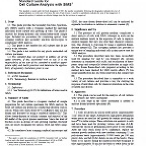 ASTM E1881-97