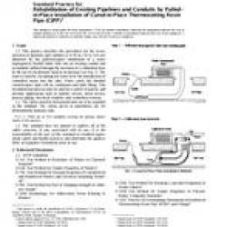 ASTM F1743-96